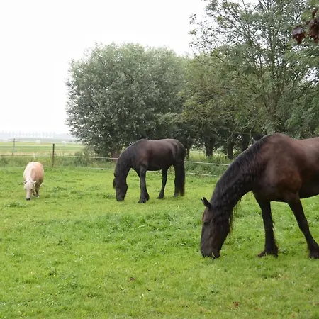 Het Friesche Paard *