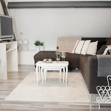 Het Friesche Paard Appartement *