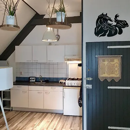 Appartement Het Friesche Paard