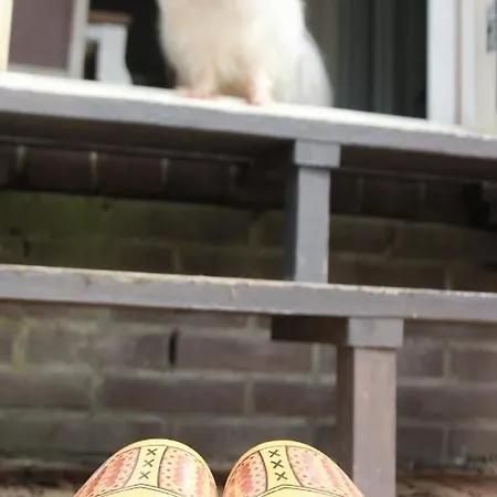 Het Friesche Paard *