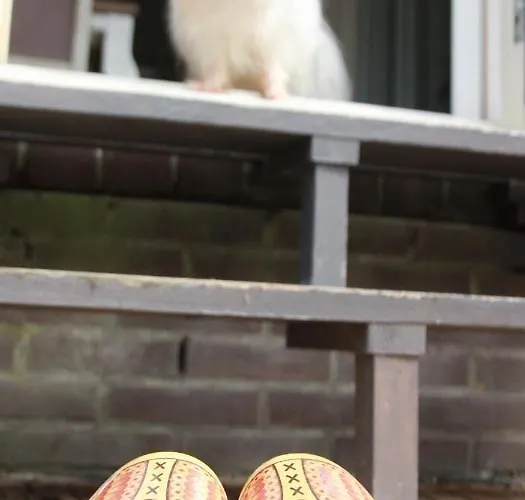 Het Friesche Paard *